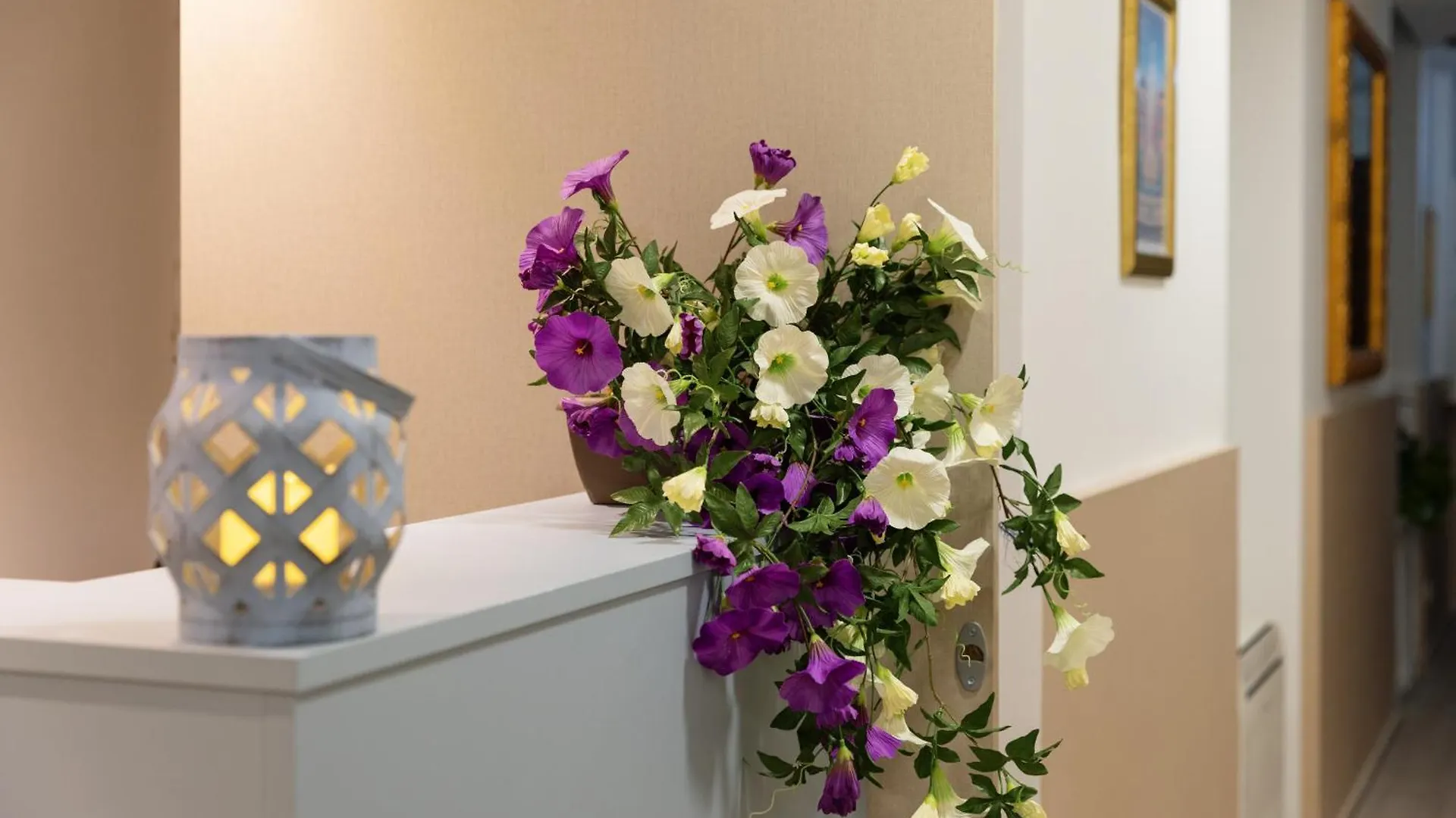 فندق مبيت وإفطار نيس Azur Bnb